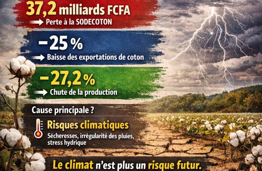 Risques ESG au Cameroun
