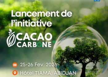 Côte d'Ivoire : Cacao Carbone+, le pari vert à 1,25 milliard $